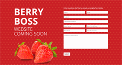 Desktop Screenshot of berryboss.com