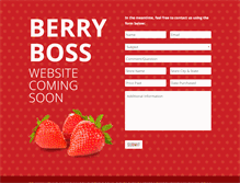 Tablet Screenshot of berryboss.com